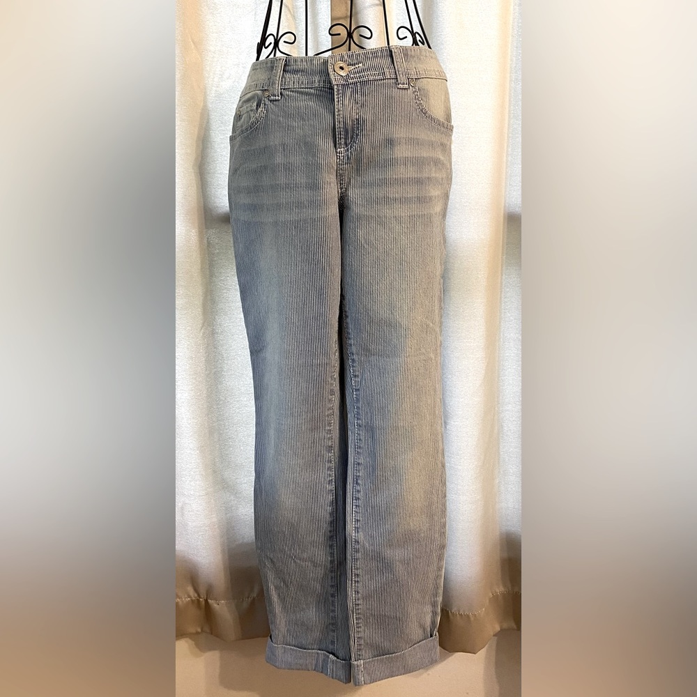 NWT INC Denim Women’s Size 4 Pinstriped Skinny Regular Fit Denim Jeans